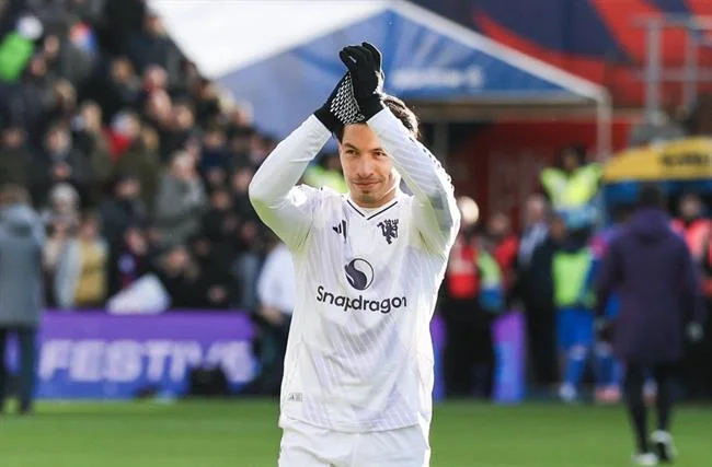 Giấy phép và quy định Vic88